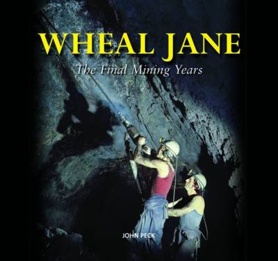 Book cover for Wheal Jane