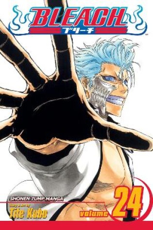 Cover of Bleach, Vol. 24