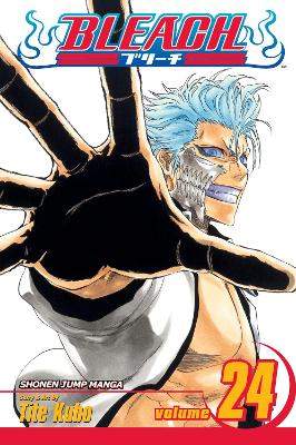 Cover of Bleach, Vol. 24