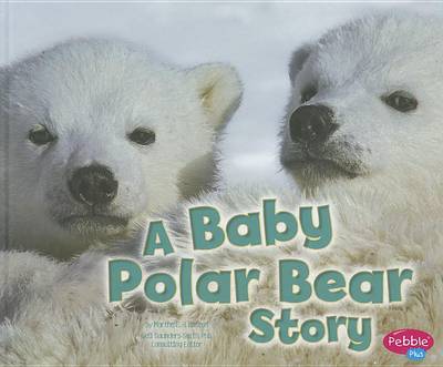 Book cover for A Baby Polar Bear Story