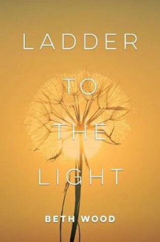 Cover of Ladder to the Light