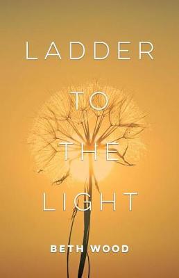 Book cover for Ladder to the Light