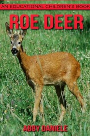 Cover of Roe deer! An Educational Children's Book about Roe deer with Fun Facts & Photos