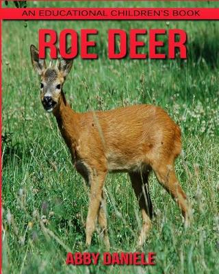 Book cover for Roe deer! An Educational Children's Book about Roe deer with Fun Facts & Photos