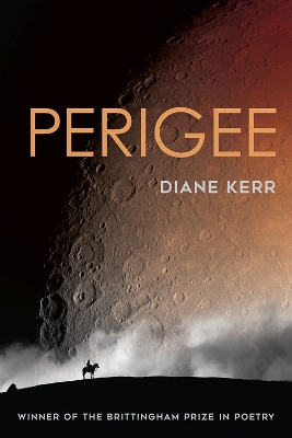 Book cover for Perigee