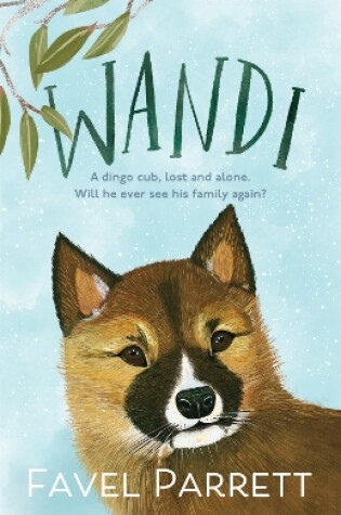 Cover of Wandi