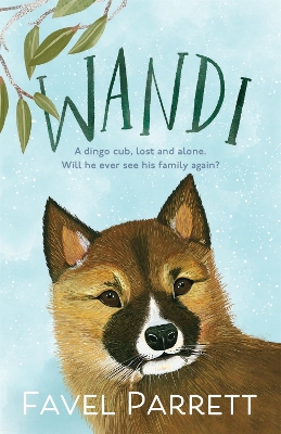 Book cover for Wandi