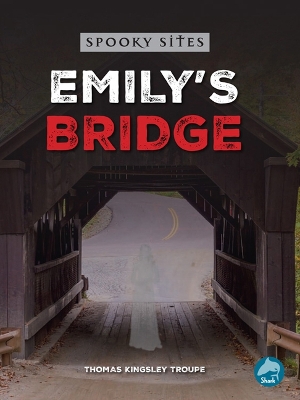 Book cover for Emily's Bridge