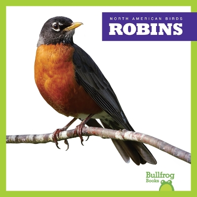 Book cover for Robins