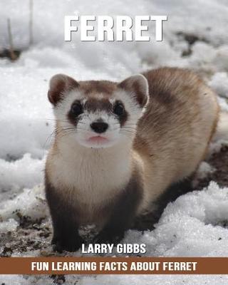 Book cover for Fun Learning Facts about Ferret