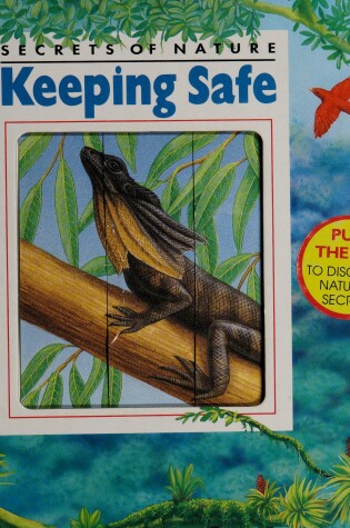 Cover of Keeping Safe