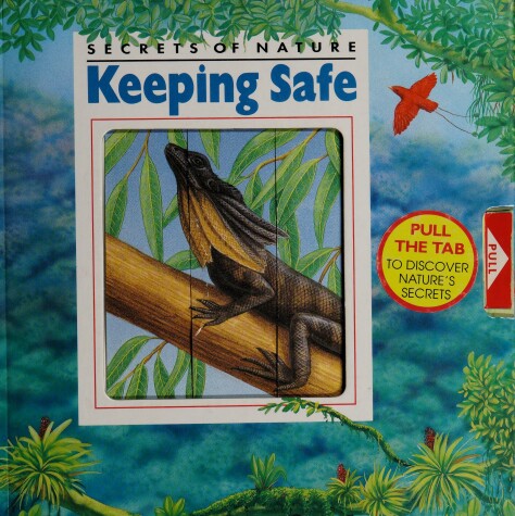 Cover of Keeping Safe