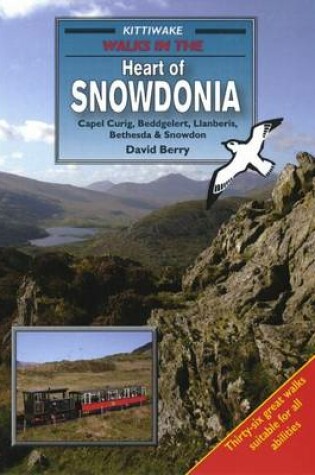 Cover of Walks in the Heart of Snowdonia