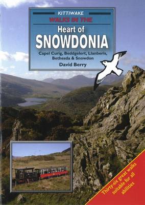 Book cover for Walks in the Heart of Snowdonia