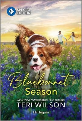 Cover of Bluebonnet Season