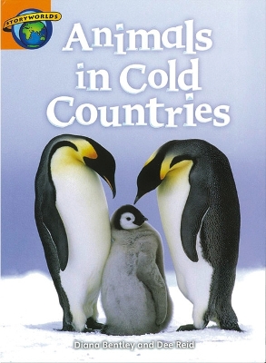 Book cover for Fact World Stage 4: Animals in Cold Countries