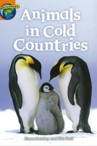 Cover of Fact World Stage 4: Animals in Cold Countries