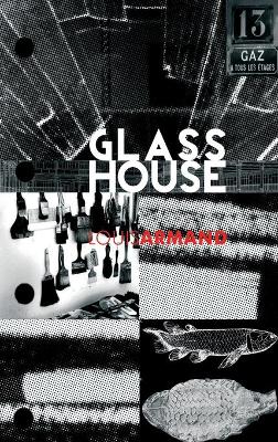 Book cover for GlassHouse