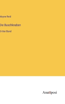 Book cover for Die Buschknaben
