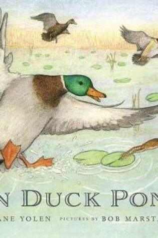 Cover of On Duck Pond