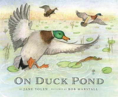 Book cover for On Duck Pond