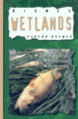 Cover of Wetlands