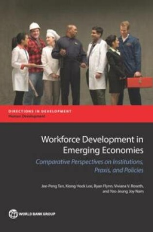 Cover of Workforce development in emerging economies