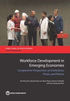 Book cover for Workforce development in emerging economies