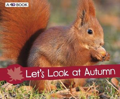 Book cover for Let's Look at Autumn