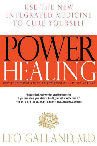 Cover of Power Healing