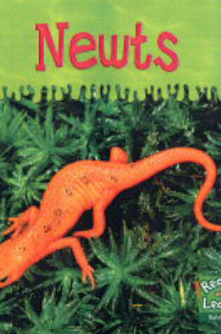 Cover of Read and Learn: Ooey-Gooey Animals - Newts