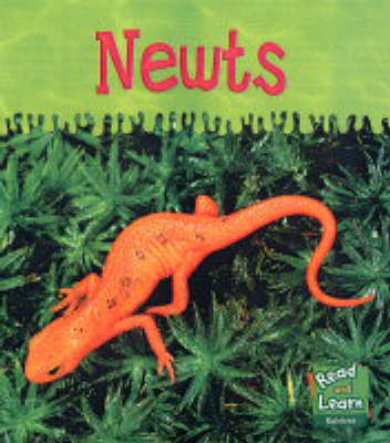 Cover of Read and Learn: Ooey-Gooey Animals - Newts