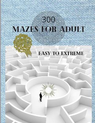 Book cover for 300 Mazes For Adult Easy to Extreme