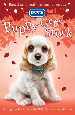 Book cover for Puppy Gets Stuck