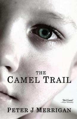 Book cover for The Camel Trail