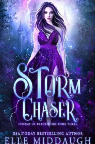 Cover of Storm Chaser