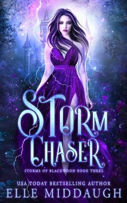 Book cover for Storm Chaser