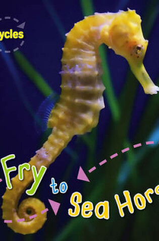 Cover of Life Cycles: Fry to Seahorse