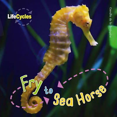 Book cover for Life Cycles: Fry to Seahorse