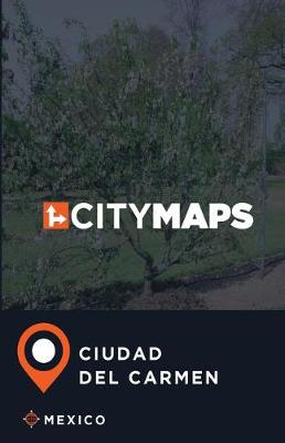 Book cover for City Maps Ciudad del Carmen Mexico