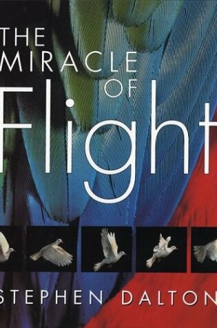 Cover of The Miracle of Flight