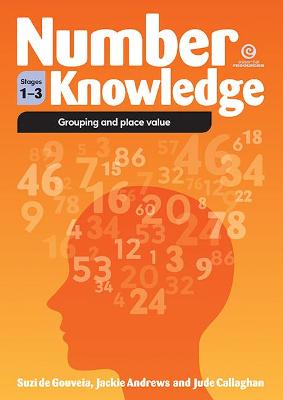 Book cover for Number Knowledge:Grouping and Place Value (Stages 1-3)