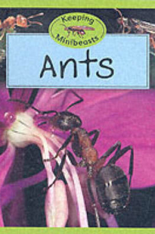 Cover of Ants