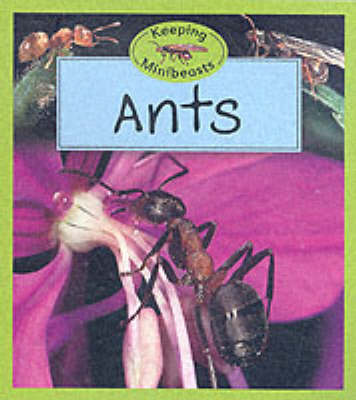 Cover of Ants