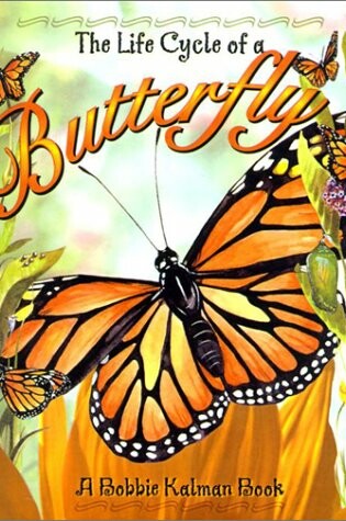 Cover of Butterfly