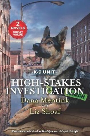 Cover of High-Stakes Investigation