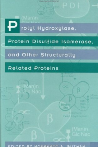 Cover of Prolyl Hydroxylase, Protein Disulfide Isomerase and Other Structurally Related Proteins