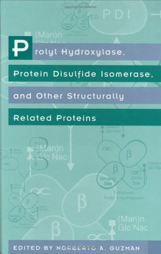 Book cover for Prolyl Hydroxylase, Protein Disulfide Isomerase and Other Structurally Related Proteins