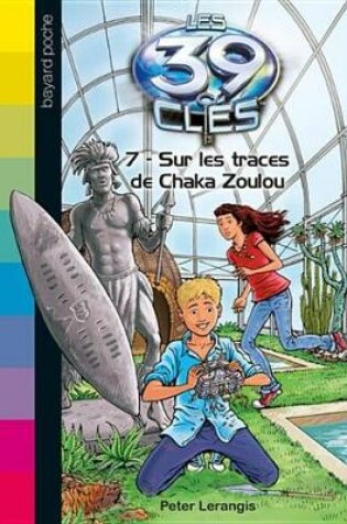 Cover of Les 39 Cles, Tome 7