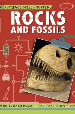 Cover of Science Skills Sorted!: Rocks and Fossils